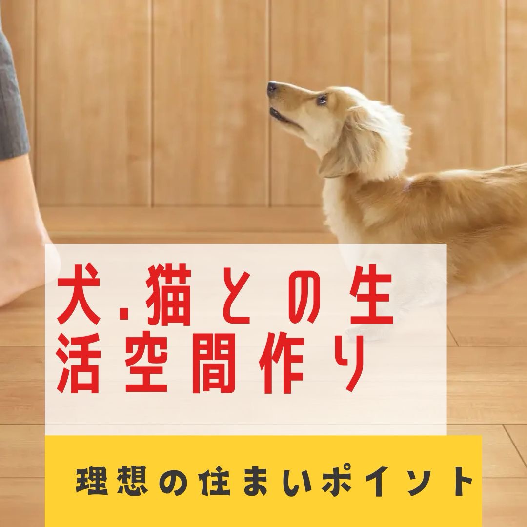 犬と猫との生活空間の作り方とは？ポイントを押さえて理想を叶えよう！